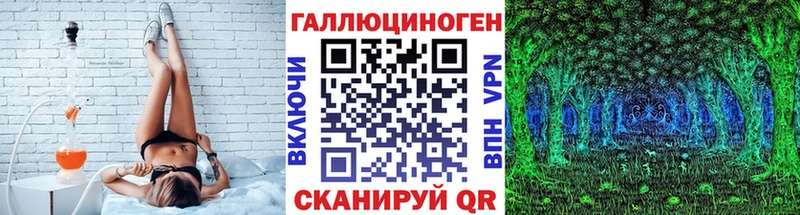 hydra ТОР Константиновск Псилоцибиновые грибы Magic Shrooms